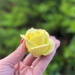 forma silikonowa Róża kwiat