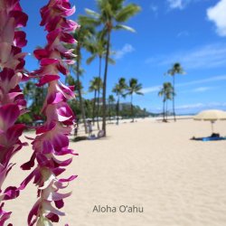 Zapach Uniwersalny - Aloha Oahu