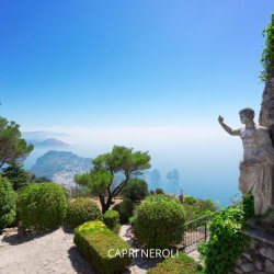 Zapach Uniwersalny - Capri Neroli