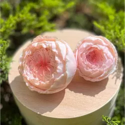 forma silikonowa Róża Valencia