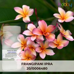 Olejek zapachowy FRANGIPANI IPRA