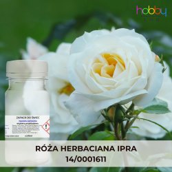 Olejek zapachowy RÓŻA HERBACIANA IPRA (30ml)Olejek zapachowy RÓŻA HERBACIANA IPRA
