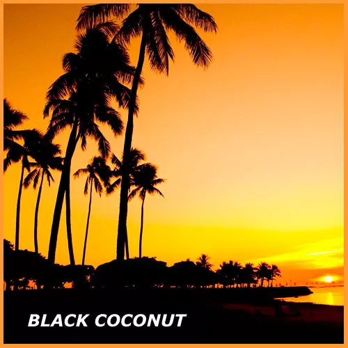Czarny kokos - zapach do świec IPRA France