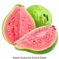 Guava - zapach do świec IPRA France