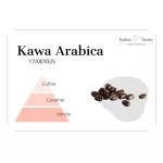 piramida zapachowa kawa arabica