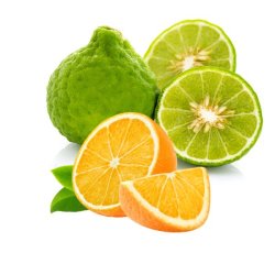 Zapach Uniwersalny - Bergamot & Orange