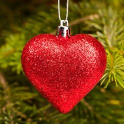 Zapach Uniwersalny - Christmas Hearth