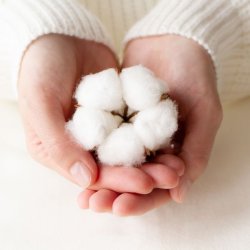 Zapach Uniwersalny - Clean Cotton