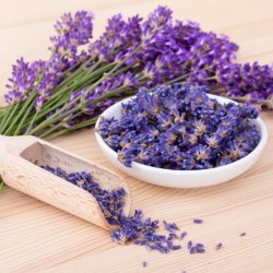 Zapach Uniwersalny - Lavender